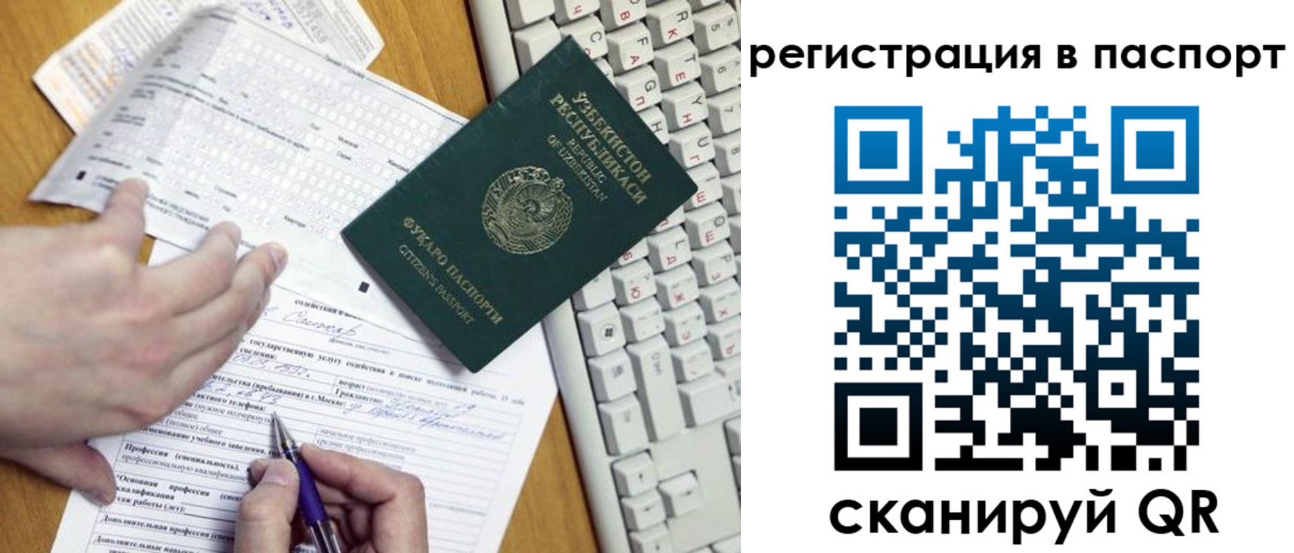 прописка поиск в Ингушетии
